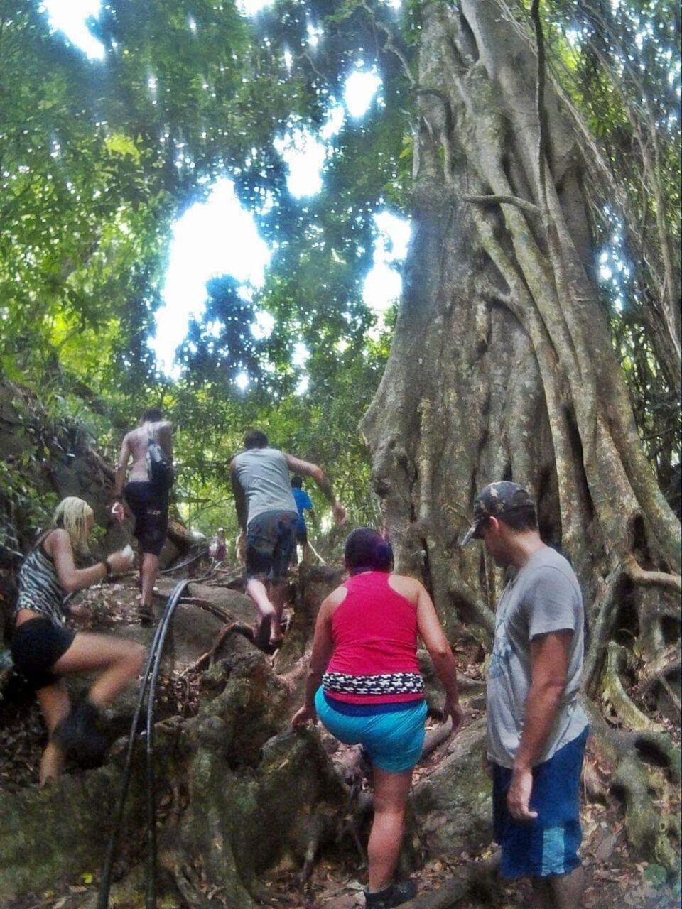 Casa Delas Ilhabela Bagian luar foto
